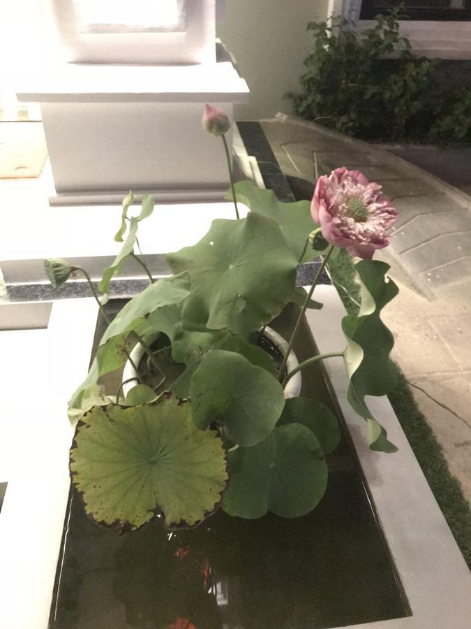 Sky Palace Boutique Hotel باتامبانغ المظهر الخارجي الصورة